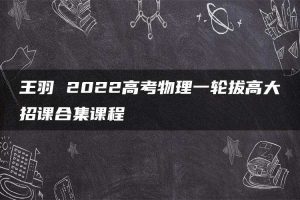 王羽 2022高考物理一轮拔高大招课合集课程