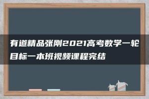 有道精品张刚2021高考数学一轮目标一本班视频课程完结