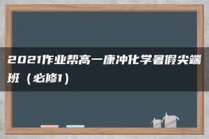 2021作业帮高一康冲化学暑假尖端班（必修1）