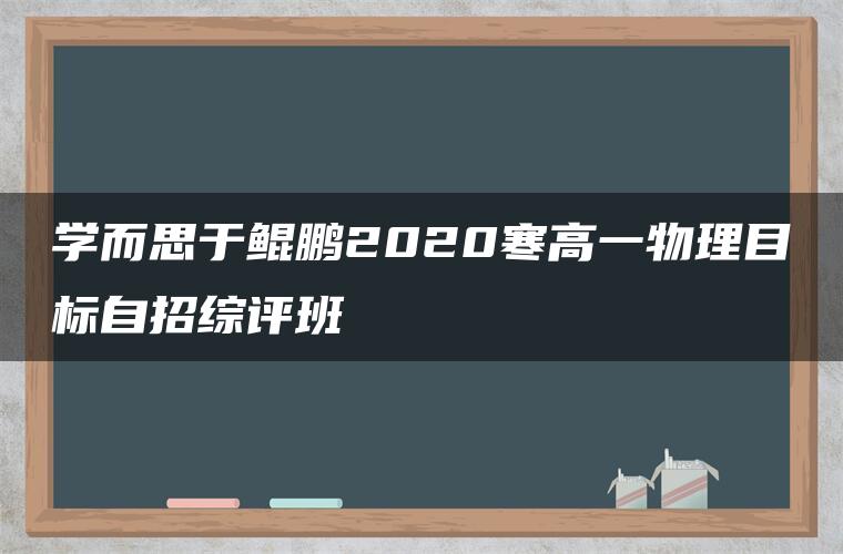 学而思于鲲鹏2020寒高一物理目标自招综评班