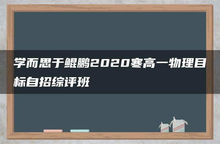 学而思于鲲鹏2020寒高一物理目标自招综评班