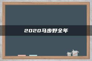 2020马步野全年