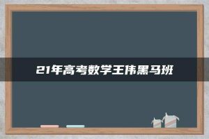 21年高考数学王伟黑马班
