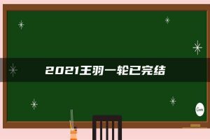 2021王羽一轮已完结