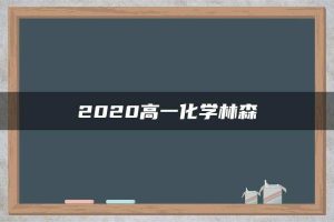 2020高一化学林森