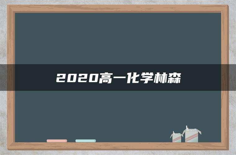 2020高一化学林森
