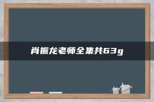 肖振龙老师全集共63g