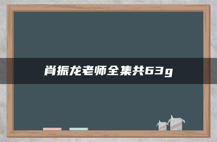 肖振龙老师全集共63g