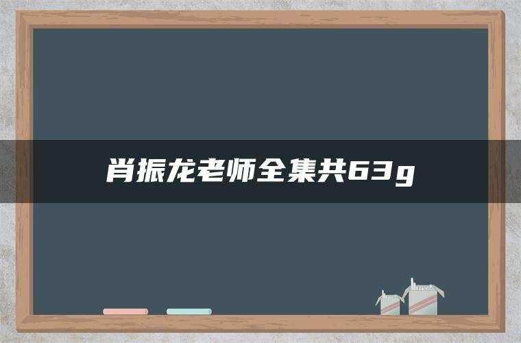 肖振龙老师全集共63g