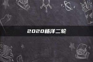 2020杨洋二轮