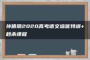 孙倩璐2020高考语文培优特训+秒杀课程