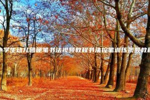 小学生幼儿园硬笔书法视频教程书法控笔训练视频教程