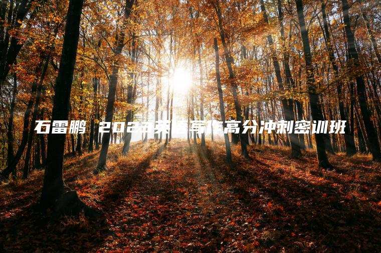 石雷鹏 2023英语写作高分冲刺密训班
