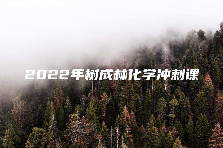 2022年树成林化学冲刺课 2022年树成林化学冲刺课