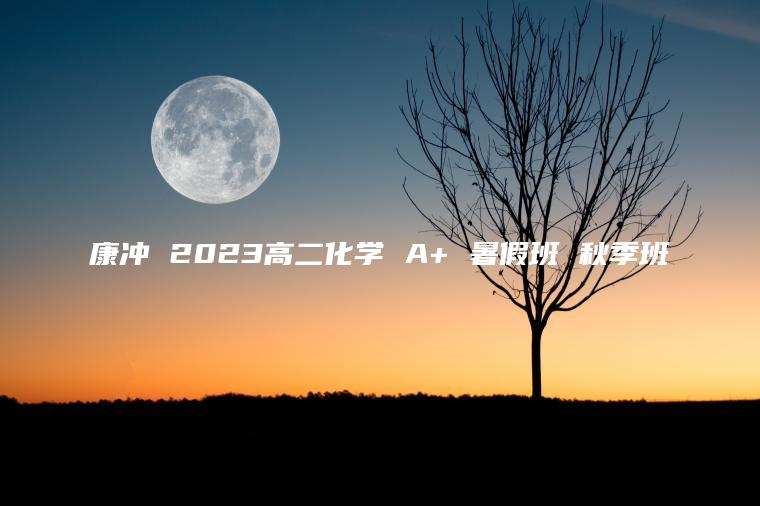 康冲 2023高二化学 A+ 暑假班 秋季班 康冲 2023高二化学 A+ 暑假班 秋季班