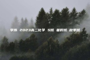 李伟 2023高二化学 S班 暑假班 秋季班