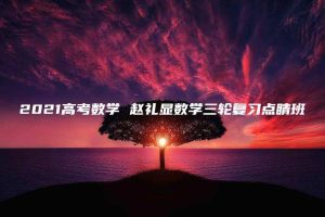 2021高考数学 赵礼显数学三轮复习点睛班