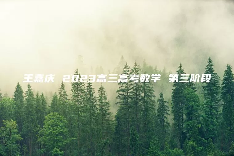 王嘉庆 2023高三高考数学 第三阶段