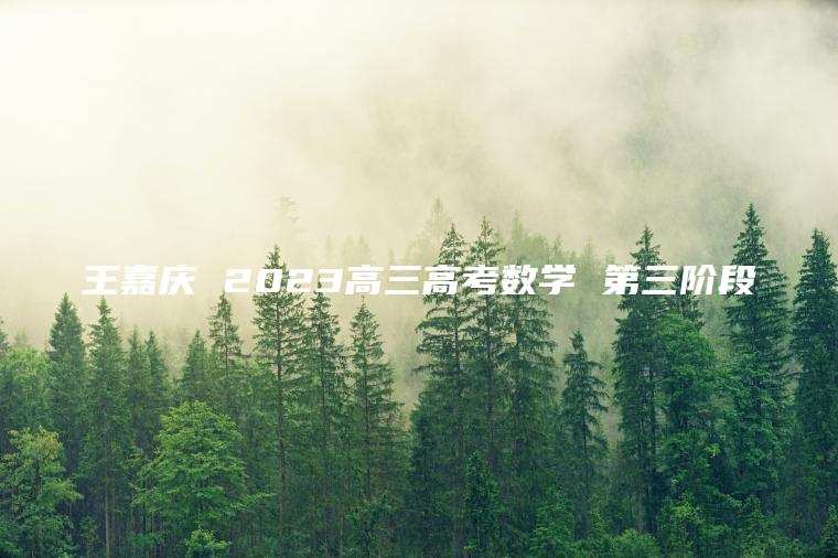 王嘉庆 2023高三高考数学 第三阶段