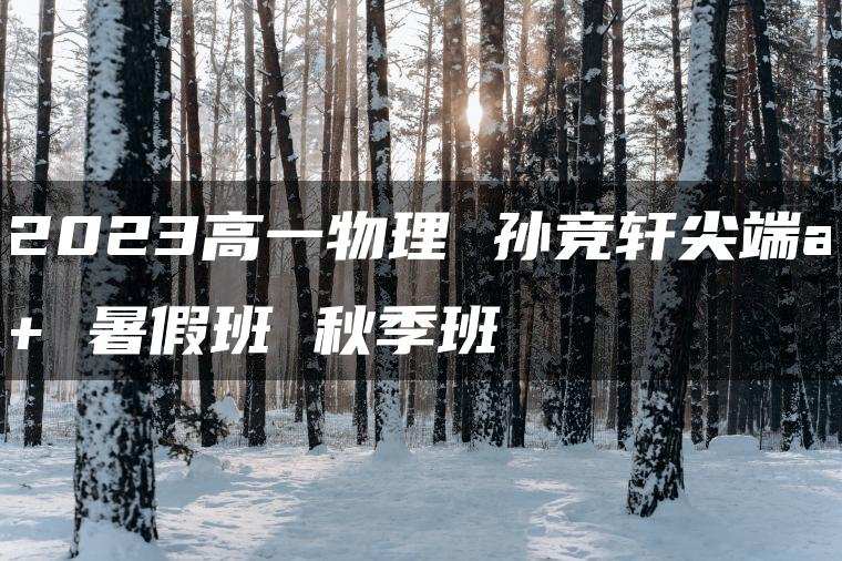 2023高一物理 孙竞轩尖端a+ 暑假班 秋季班
