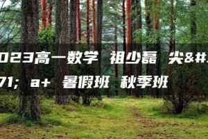 2023高一数学 祖少磊 尖端 a+ 暑假班 秋季班