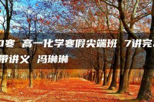 2020寒 高一化学寒假尖端班 7讲完结带讲义 冯琳琳