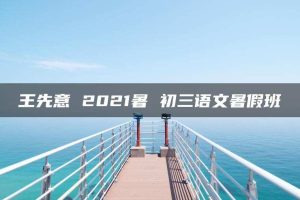王先意 2021暑 初三语文暑假班