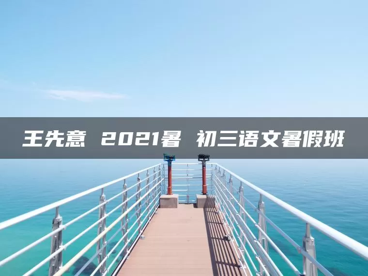 王先意 2021暑 初三语文暑假班
