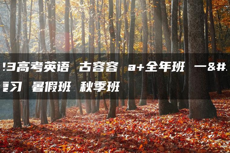 2023高考英语 古容容 a+全年班 一轮复习 暑假班 秋季班