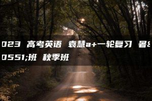 2023 高考英语 袁慧a+一轮复习 暑假班 秋季班