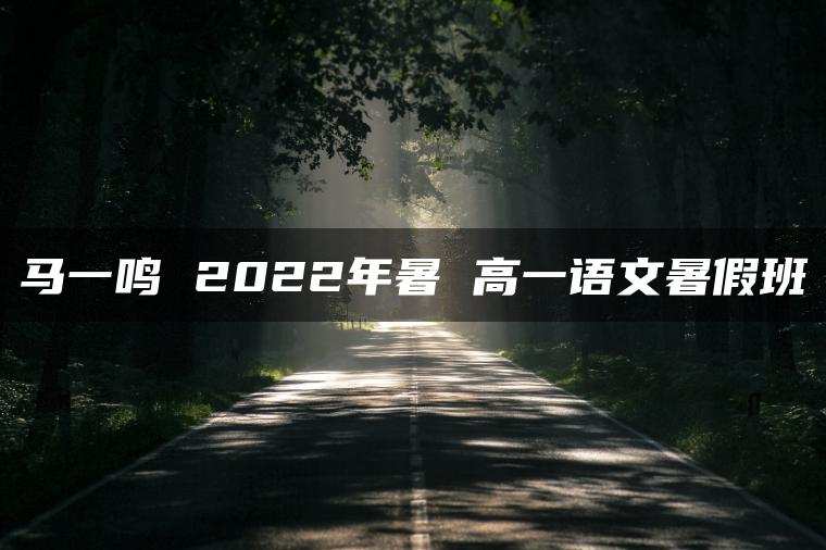 马一鸣 2022年暑 高一语文暑假班