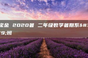 王宝金 2020暑 二年级数学暑期系统班
