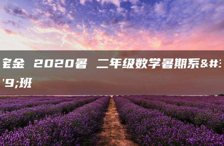 王宝金 2020暑 二年级数学暑期系统班