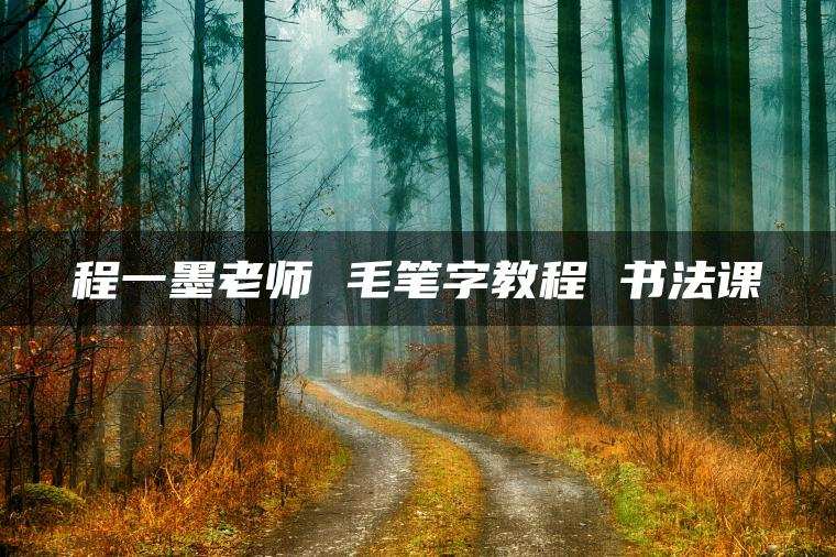 程一墨老师 毛笔字教程 书法课