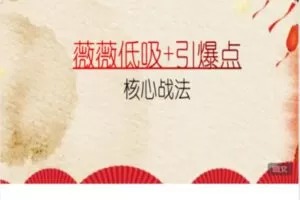 【捐赠[红包]59.90·《Z7731-知识小广场-薇薇低吸+引爆点核心战法》】