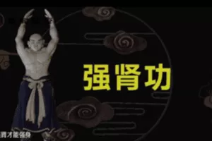 哲龙强肾功教学视频 易筋经洗髓功十五课视频