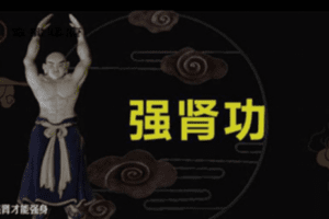 哲龙强肾功教学视频 易筋经洗髓功十五课视频