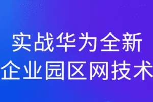 实战华为全新企业园区网技术