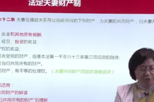 民法典编纂咨询专家马忆南：婚姻编、继承编