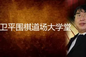 聂卫平围棋道场大学堂（冲段教程）