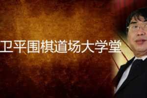 聂卫平围棋道场大学堂（冲段教程）