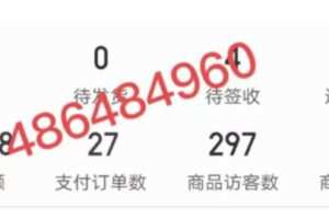 淘k·拼多多虚拟开店打卡群：一群人同行快过一个人单独摸索（昨日群里有小伙伴日入3000+）
