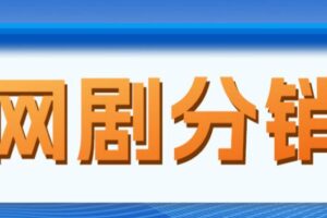 网剧分销项目，新蓝海项目，月入过万很轻松