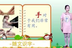 纳米盒 幼升小全套资料之随文识字