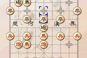 中国象棋：和小苏学中国象棋—中炮对屏风马专辑