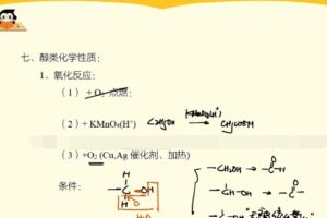 李霄君 高三化学2021年秋季班A+班