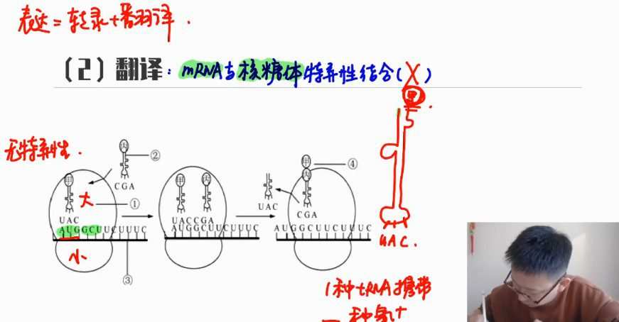 陈旭晨 高三生物2021年秋季班 1 1644414533 陈旭晨 高三生物2021年秋季班