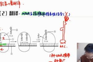 陈旭晨 高三生物2021年秋季班