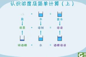 高斯数学 看动画学六年级奥数