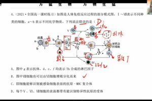 万猛 2022年高考生物秋季班